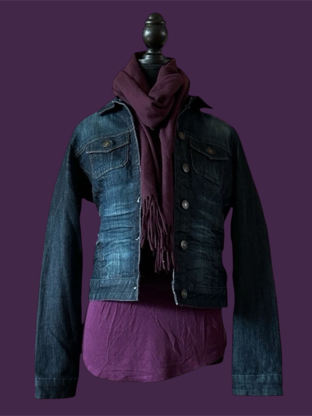 RW&CO. denim jacket, XS